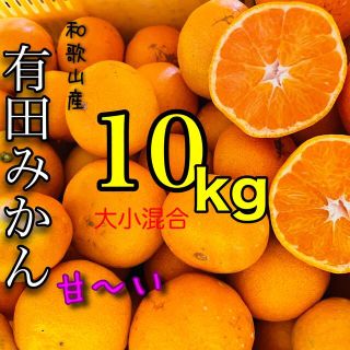 和歌山有田みかん大小混合10キロ(フルーツ)