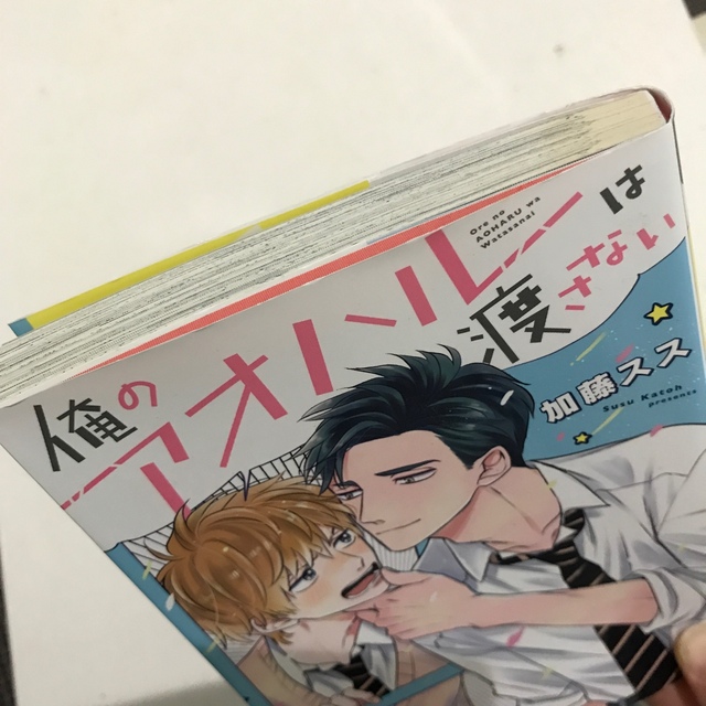 俺のアオハルは渡さない　2冊セット エンタメ/ホビーの漫画(ボーイズラブ(BL))の商品写真