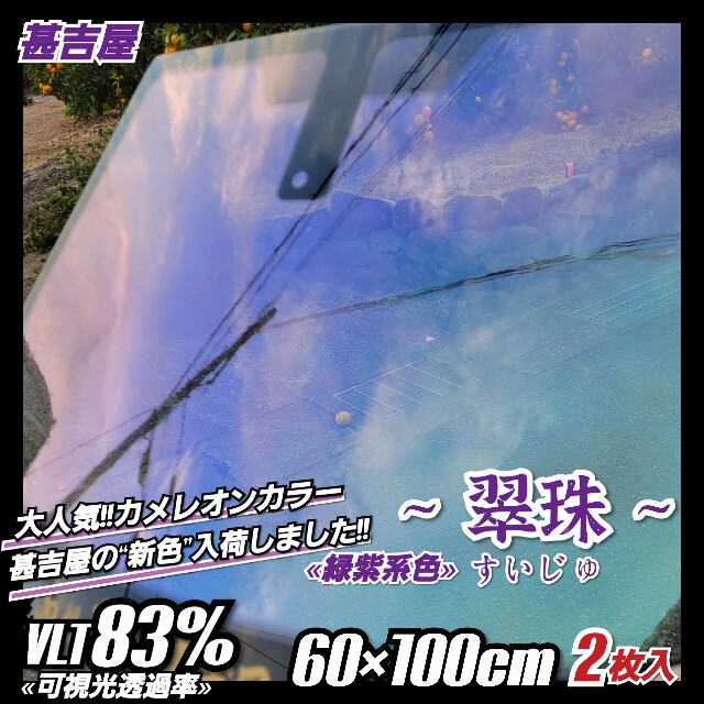 《新品》翠珠すいじゅ/カメレオンティント/緑紫系/縦60×横100㎝　2枚入