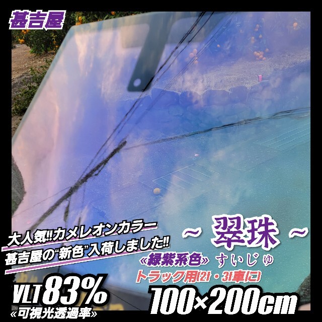 《新品》翠珠すいじゅ/カメレオンティント/緑紫系/縦100×横200㎝ 大容量の通販 by ~ふぃるむの甚吉屋~ 基本土日発送's shop｜ラクマ