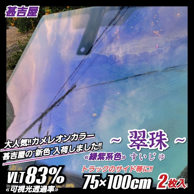 《新品》翠珠すいじゅ/カメレオンティント/緑紫系/縦75×横100㎝　2枚入