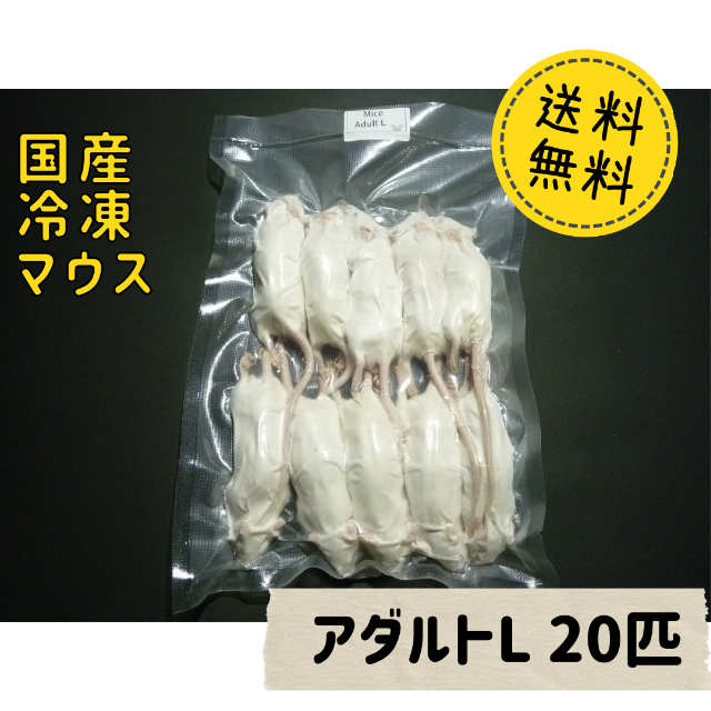 国産冷凍マウス ピンクM 20匹(地域限定送料無料) - 爬虫類・両生類のエサ