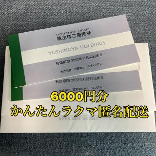 ヨシノヤ(吉野家)の吉野家　株主優待　6000円分(レストラン/食事券)