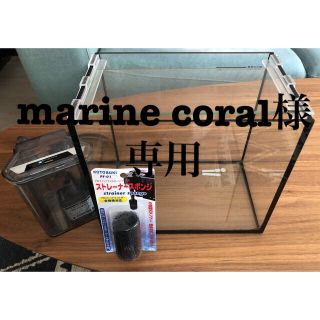 25cm 水槽セット(アクアリウム)