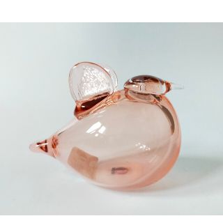 iittala - IITTALA baby イッタラバード ベビー オイバトイッカの通販