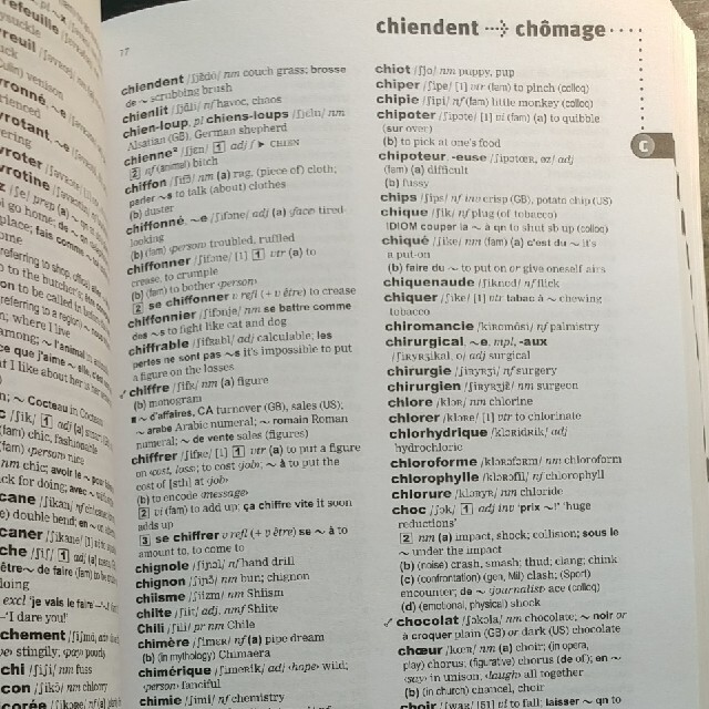 dictionary(ディクショナリー)のOxford French-English dictionary カナダで購入 エンタメ/ホビーの本(語学/参考書)の商品写真