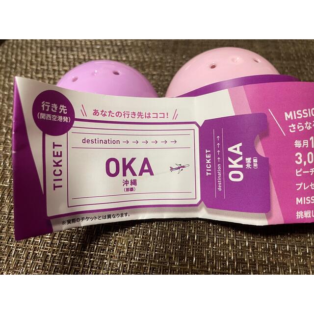 peach 旅ガチャ 関西空港→沖縄 チケットのチケット その他(その他)の商品写真