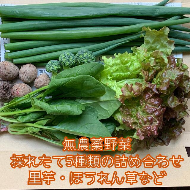 無農薬野菜＊採れたて5種類の詰め合わせ＊野菜セット＊ネコポス＊里芋・ほうれん草＊ 食品/飲料/酒の食品(野菜)の商品写真