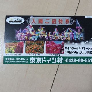東京ドイツ村 入園ご招待券 2021年12月31日まで 1枚(遊園地/テーマパーク)