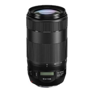 キヤノン(Canon)のCanon EF70-300F4-5.6 IS 2 USM 極美品(レンズ(ズーム))