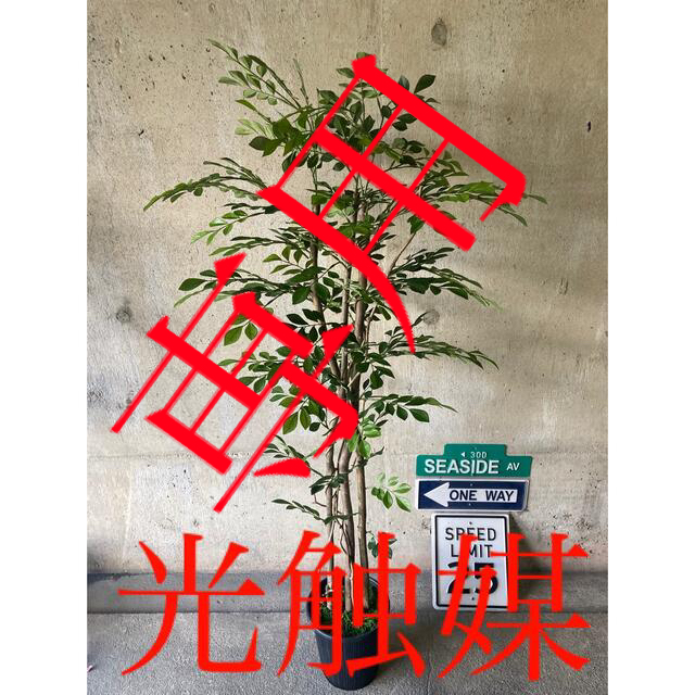 陶器光触媒　人工観葉植物　ウォールグリーン　フェイク　アレンジ　トネリコ133