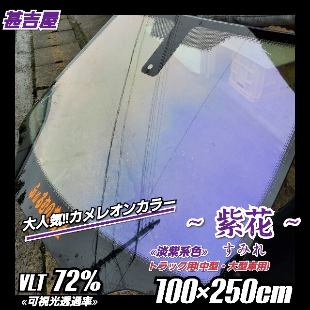 《新品》紫花すみれ/カメレオンティント/淡紫系/縦100×横250㎝　大容量