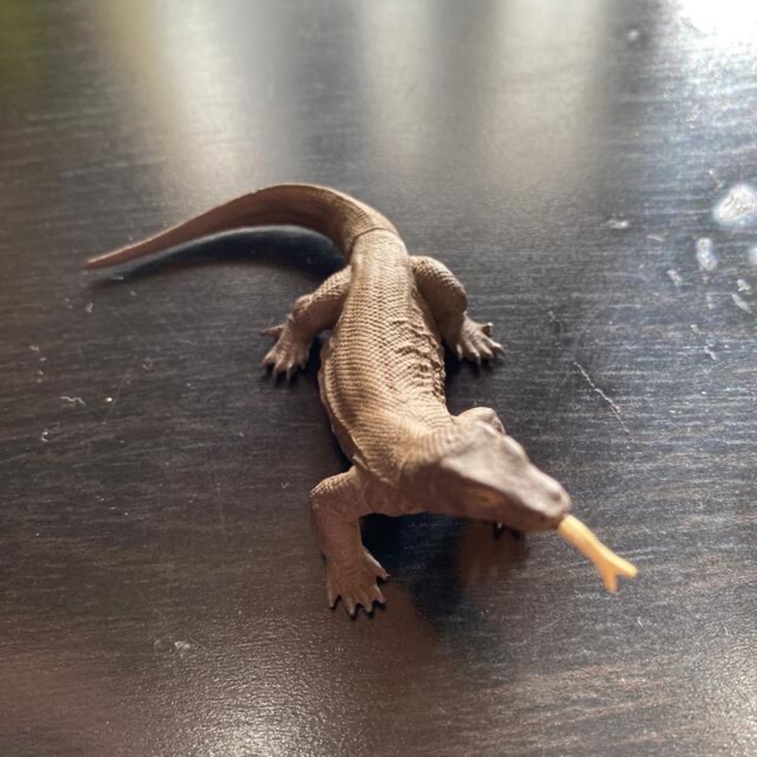 海洋堂(カイヨウドウ)の海洋堂　ガチャ エンタメ/ホビーのフィギュア(その他)の商品写真
