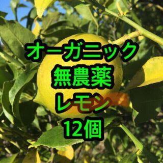 オーガニック　無農薬レモン12個　(フルーツ)