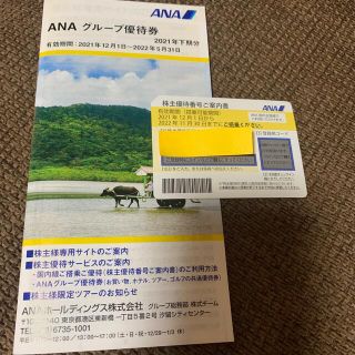 ANA 株主優待(その他)