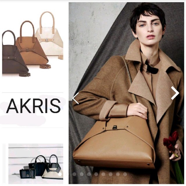 AKRIS（アクリス）Aiバッグ☆ トートショルダー　ハンドバッグ☆バイカラー