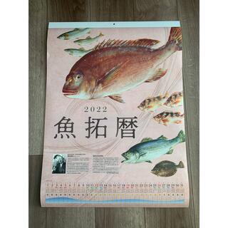 釣具のポイント　カレンダー　魚拓(その他)