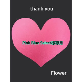 Pink Blue Select様専用(イヤーカフ)