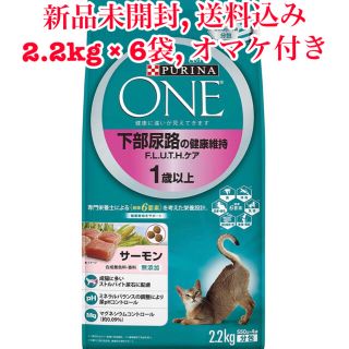 ネスレ(Nestle)の【新品未開封】ピュリナワン 下部尿路の健康維持 1歳以上 サーモン 13.2kg(ペットフード)