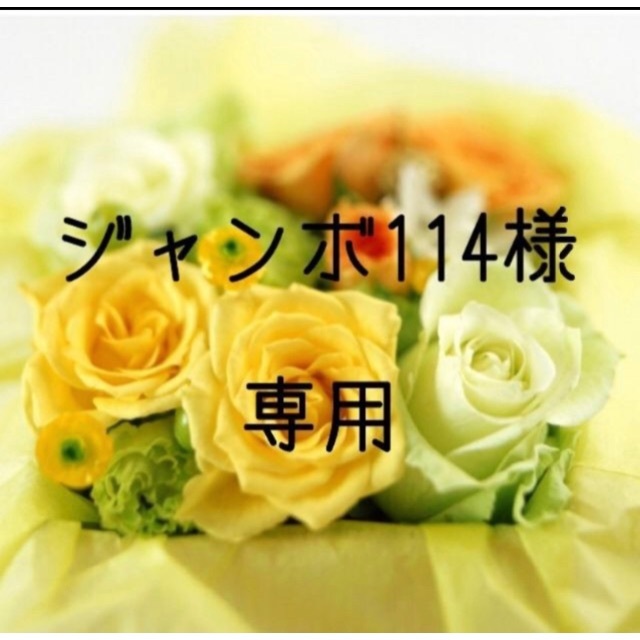 ジャンボ114　お米 令和3年産　愛媛県産ヒノヒカリ　白米　30㎏