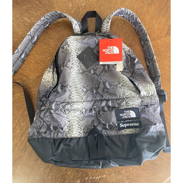 送料込 最安！Supreme The North Face Snakeskin