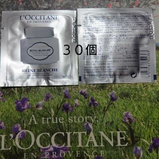 ロクシタン(L'OCCITANE)のmiki様専用 ロクシタン レーヌブランシュ  サンプル90個セット(フェイスクリーム)