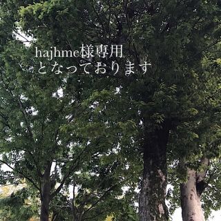 hajhme様専用となっております(バスケット/かご)