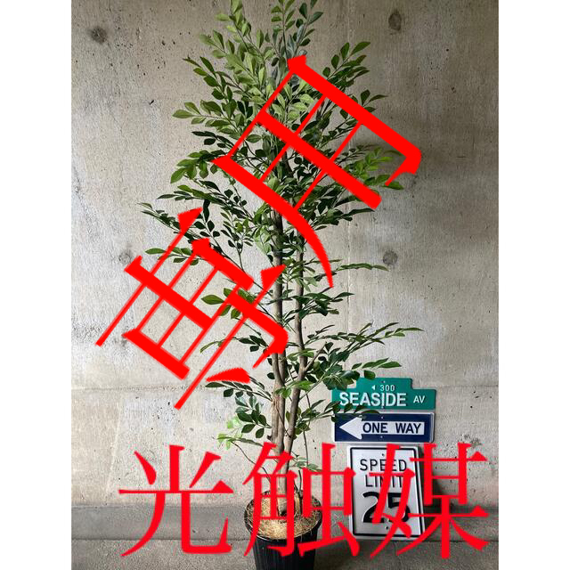 10500円 光触媒 人工観葉植物 ウォールグリーン フェイク アレンジ