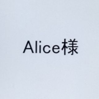 メゾピアノジュニア(mezzo piano junior)のAlice様専用 おまとめページ(その他)