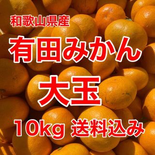 有田みかん🍊大玉🍊10㎏箱に満杯🍊送料込み(フルーツ)