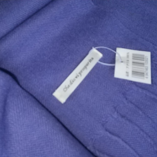 お値下  薄手  青紫色 ストール レディースのファッション小物(ストール/パシュミナ)の商品写真