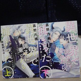 異世界で調子に乗ったら捕まった　　嘉野六鴉(ボーイズラブ(BL))