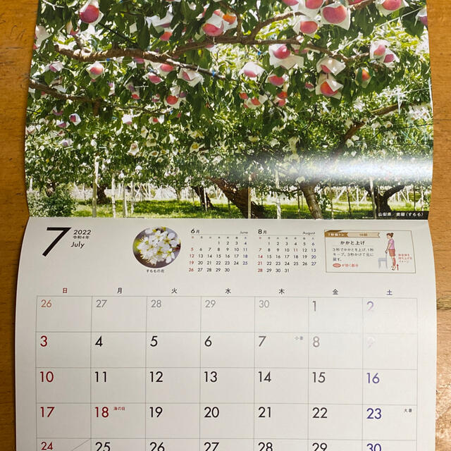 KAGOME(カゴメ)のカゴメ　健康直送便　オリジナルカレンダー インテリア/住まい/日用品の文房具(カレンダー/スケジュール)の商品写真