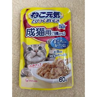 ユニチャーム(Unicharm)のねこ元気パウチ総合栄養食　成猫用　12袋(ペットフード)