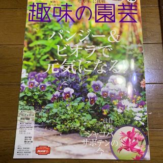 NHK 趣味の園芸 2021年 10月号(その他)