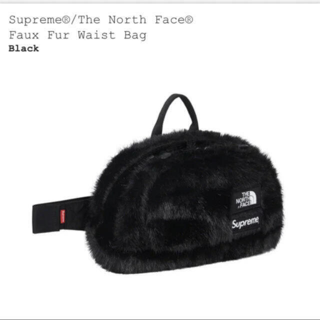 Supreme / The North Face Faux Fur Bag