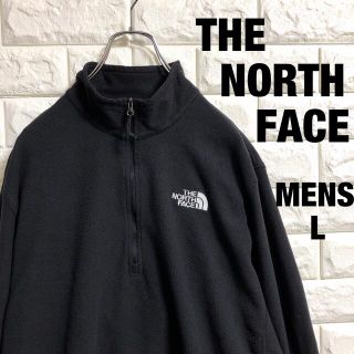 ザノースフェイス(THE NORTH FACE)のザノースフェイス　ハーフジップ　フリース　刺繍ロゴ　メンズLサイズ(その他)