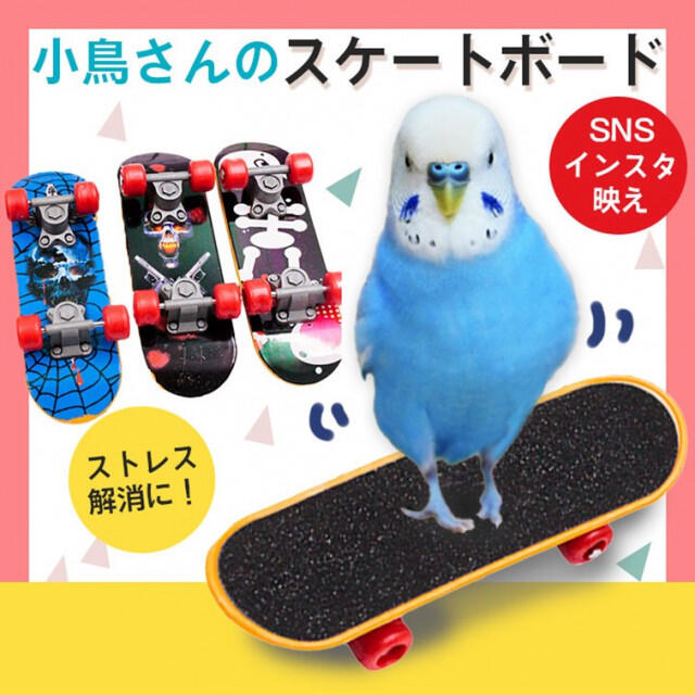 スケボー バードトイ 飾り スケボー スケートボード インコ玩具