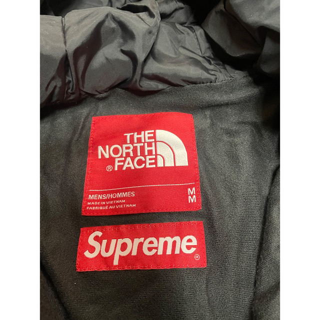 専用The North Arc Logo Mountain Parka Mサイズ - 5