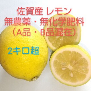 佐賀産 レモン 2キロ超(フルーツ)