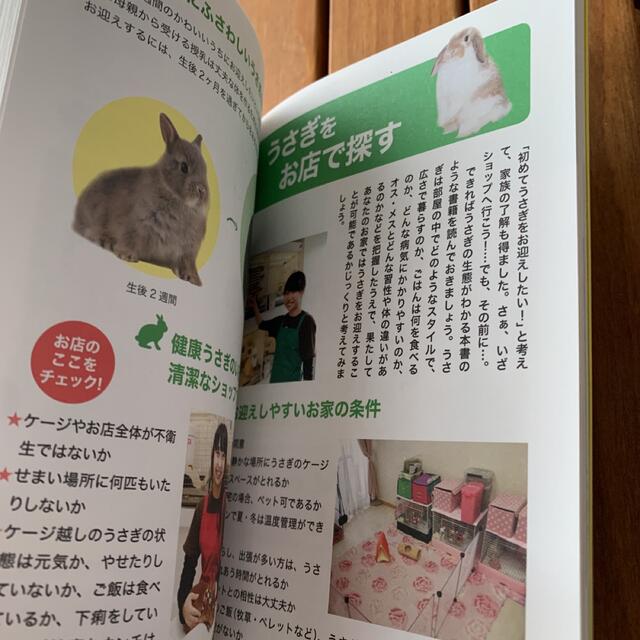 はじめてさんのうさぎと暮らすヒント丸わかりハンドブック その他のペット用品(小動物)の商品写真