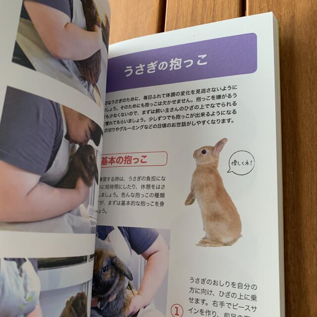 はじめてさんのうさぎと暮らすヒント丸わかりハンドブック その他のペット用品(小動物)の商品写真