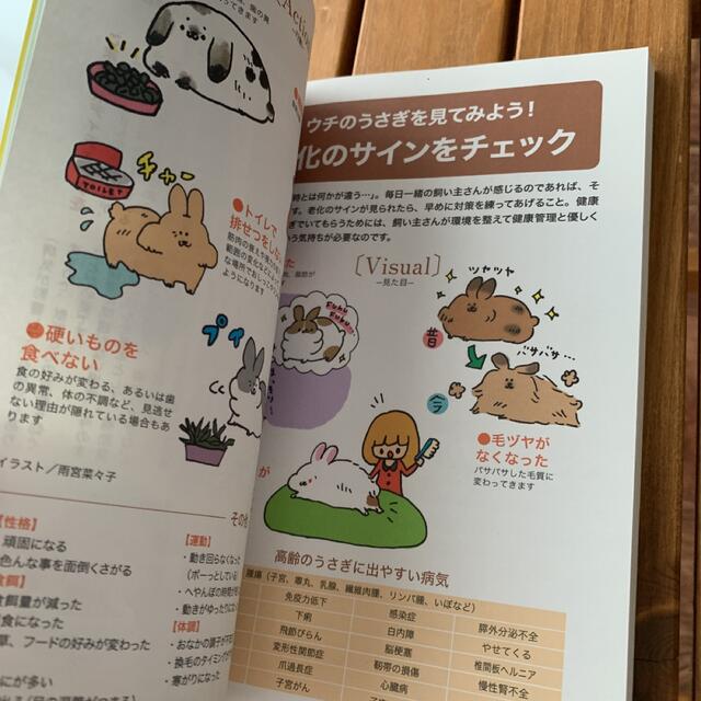 はじめてさんのうさぎと暮らすヒント丸わかりハンドブック その他のペット用品(小動物)の商品写真