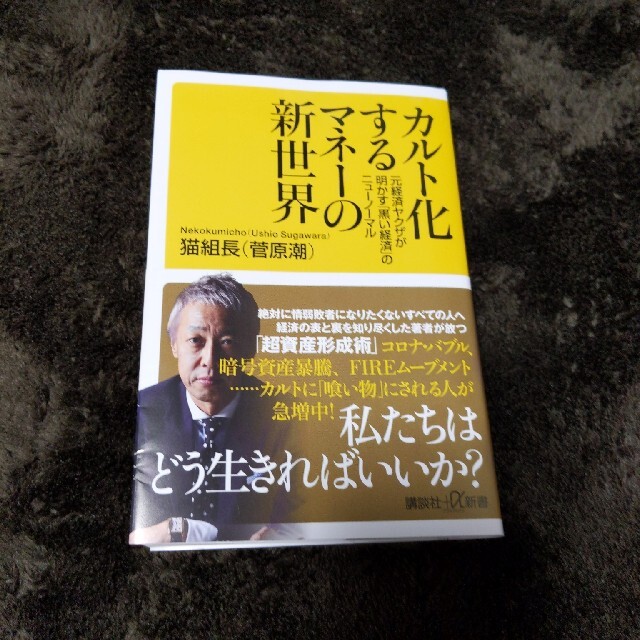 カルト化するマネーの新世界 元経済ヤクザが明かす「黒い経済」のニューノーマル エンタメ/ホビーの本(その他)の商品写真