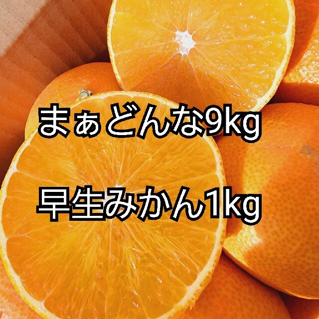 愛媛県産　ハウス愛果28号　箱込み約5㎏　柑橘　ミカン