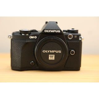 オリンパス(OLYMPUS)のOLYMPUS E-M5 Mark2(ミラーレス一眼)