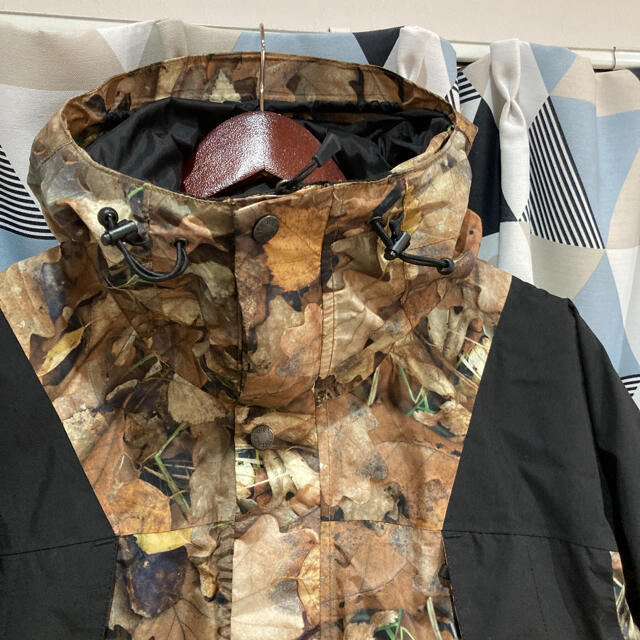 Supreme × TNF / Leaves / 落ち葉 / 枯葉