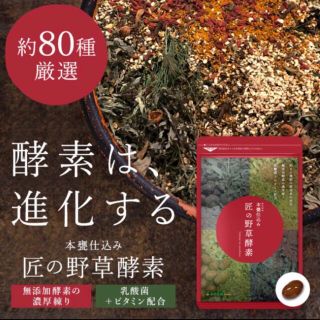 匠の野草酵素 野菜酵素 練酵素 ビタミン 乳酸菌  サプリメント 約3ヵ月分(ダイエット食品)