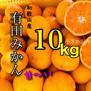 和歌山有田みかん小さめランダム混合10キロ(フルーツ)