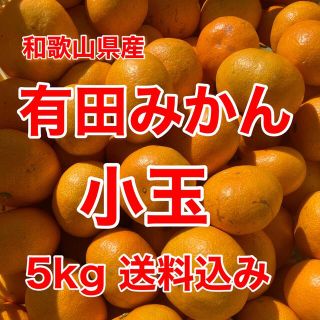 有田みかん🍊5㎏🍊小玉🍊家庭用🍊送料込み(フルーツ)